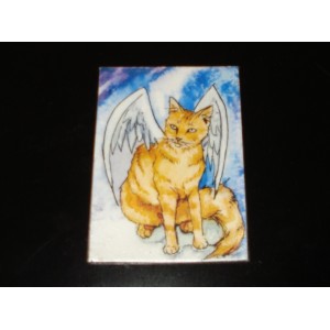 Kissamagneetti suorakaide