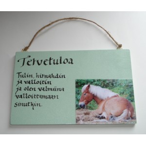 Decoupet ovikyltti iso