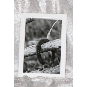 Sisustustaulu pieni 2