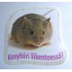 Decoupet-tarra tekstillä iso
