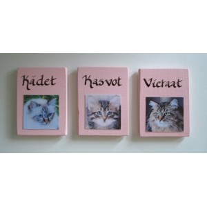 Decoupet pyyhekyltti