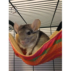 Riippari jyrsij&auml;lle