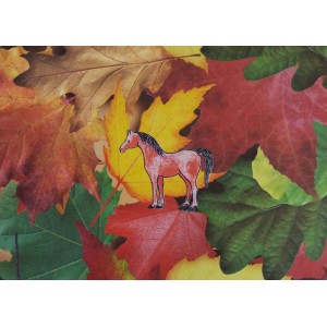 Hevoskortti valokuvapohjalla