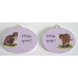 Eth&auml;n koske-kyltti